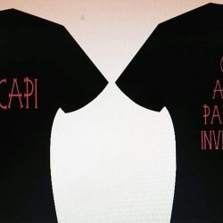 T-Shirt small to large